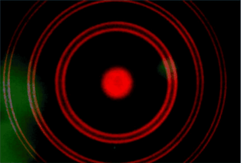 1619816167101.png