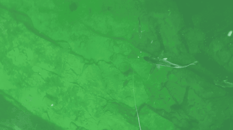 1621166334585.png