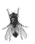 1622822808182.gif