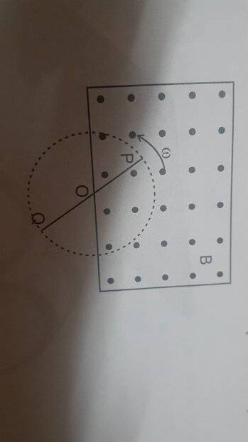 16382054268036981608784320922012.jpg