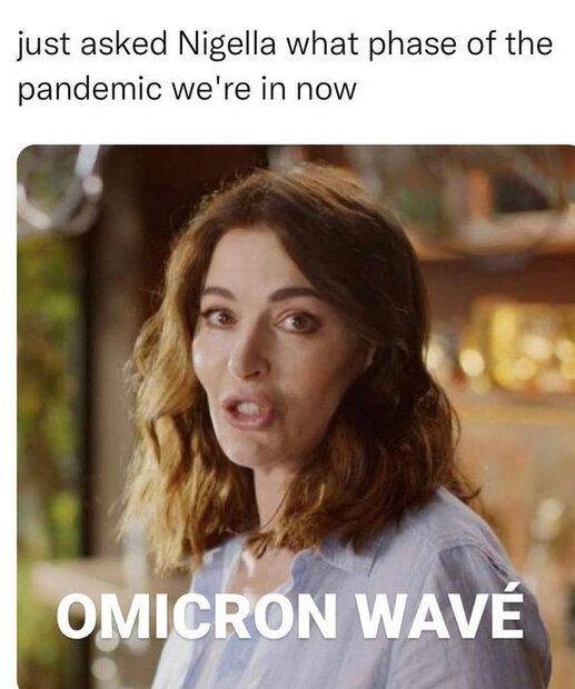 1638280081628.jpeg