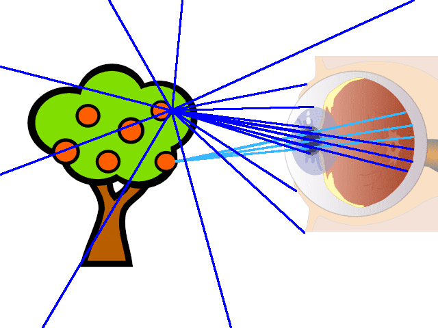 1659270703060.png