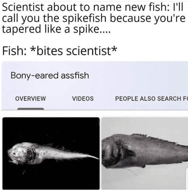 1660971203914.png
