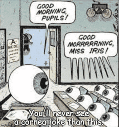 1662044080535.png
