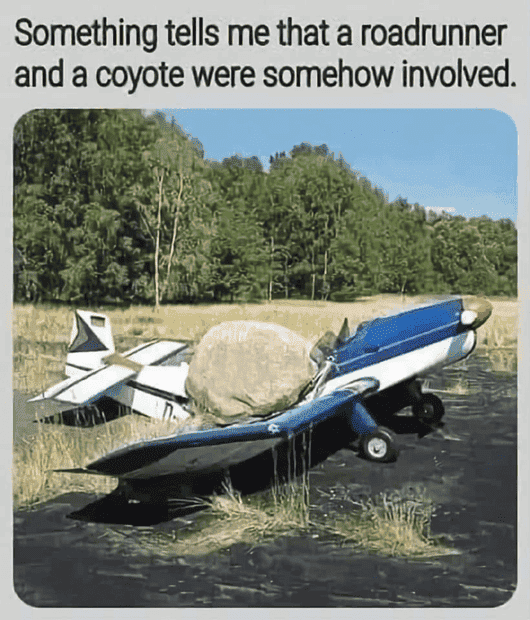 1664469560779.png