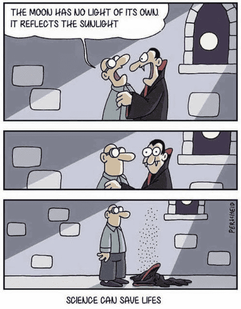 1668628185585.png