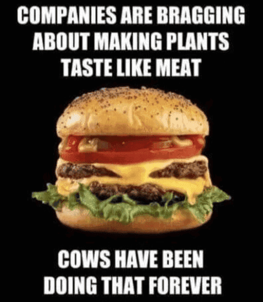 1669903763817.png
