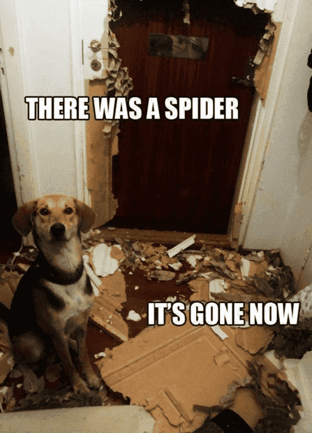 1670156982805.png