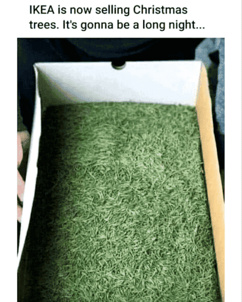 1670287865888.png