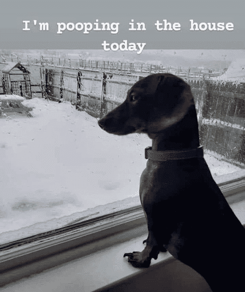 1671760546250.png