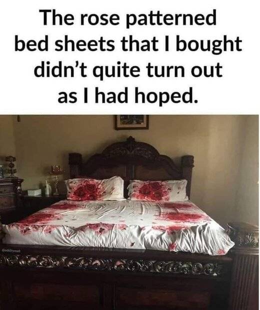 1674320132587.jpeg
