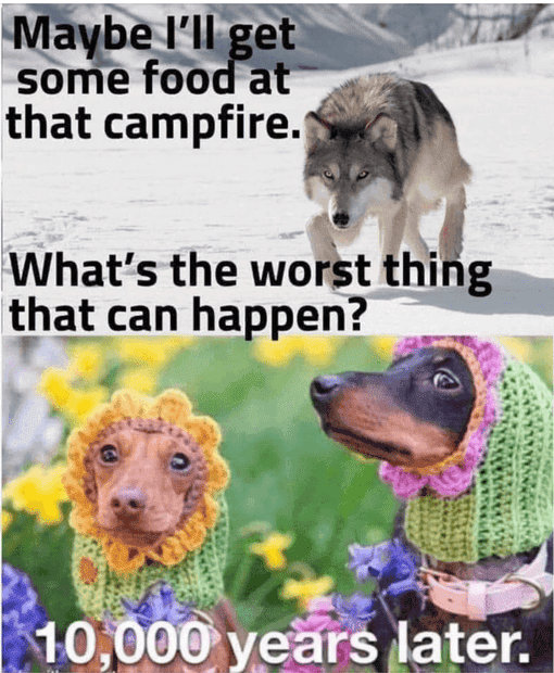 1674321080523.png