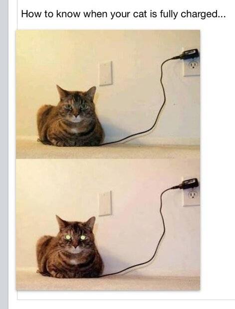 1674613854959.jpeg