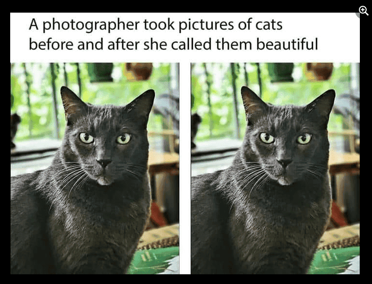 1675886539904.png