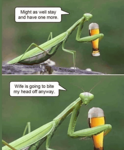 1679170264883.png