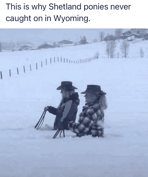 1680616548034.png