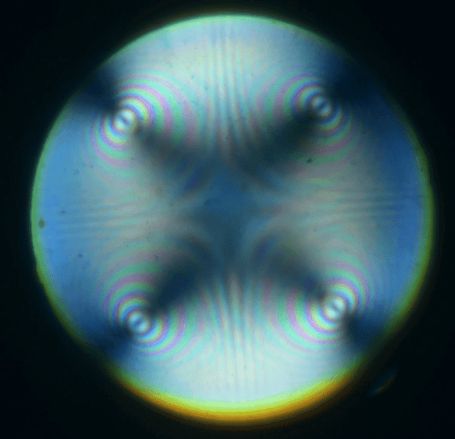 1680713126035.png