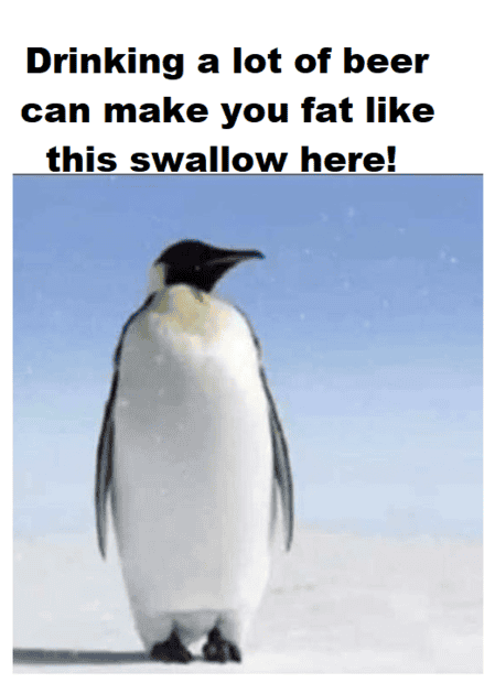 1684418205656.png