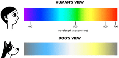 1684986735797.png