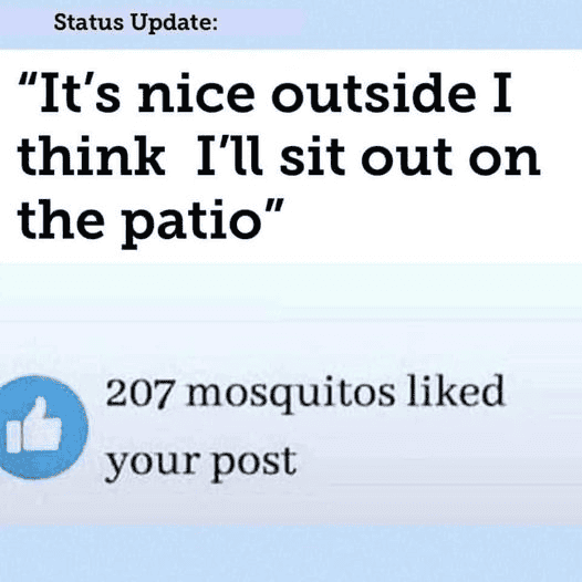 1686014342844.png
