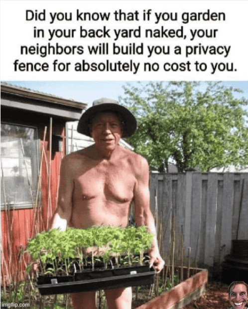 1686884530882.png