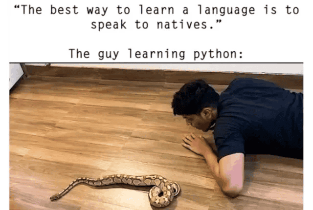 1688329475812.png
