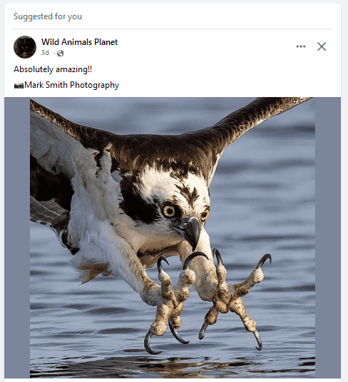1689628140092.png