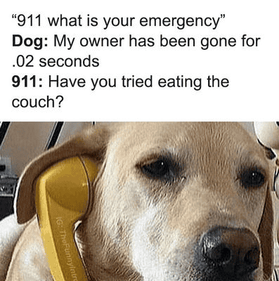 1690046812449.png