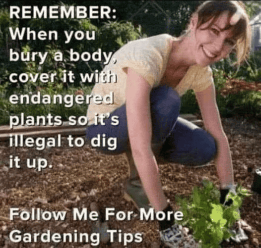 1690092044595.png