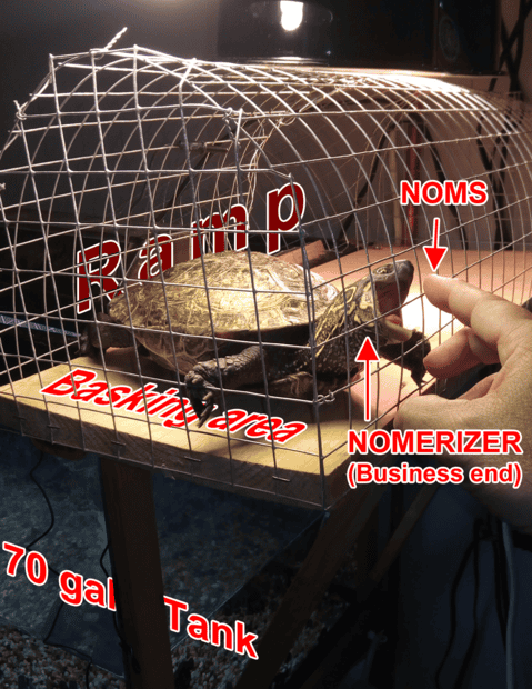 1690931130007.png