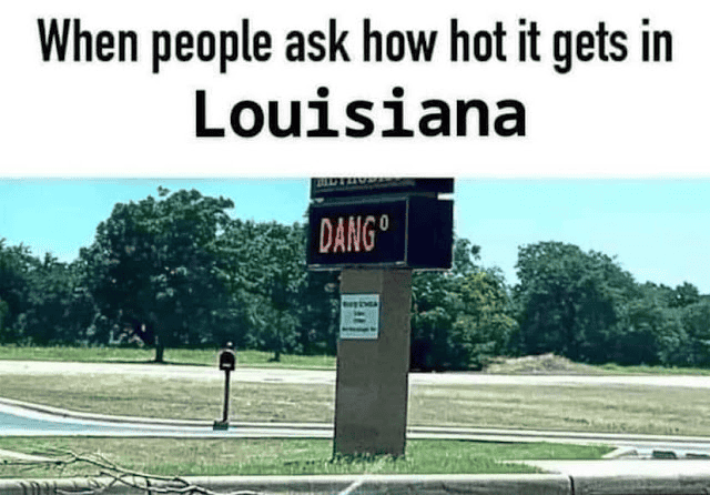 1691497262221.png