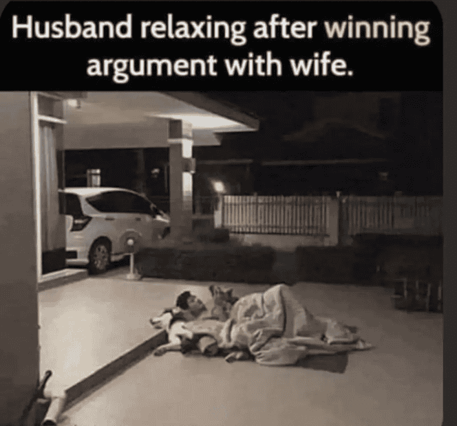 1691660698248.png
