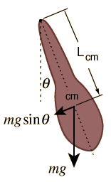 1697397217475.png