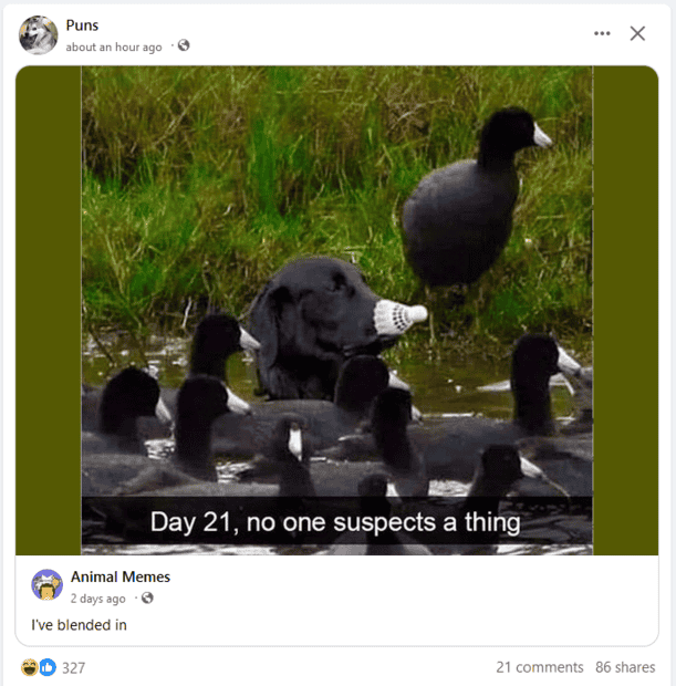 1697819595752.png
