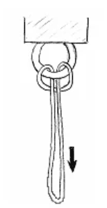 1698086323008.png