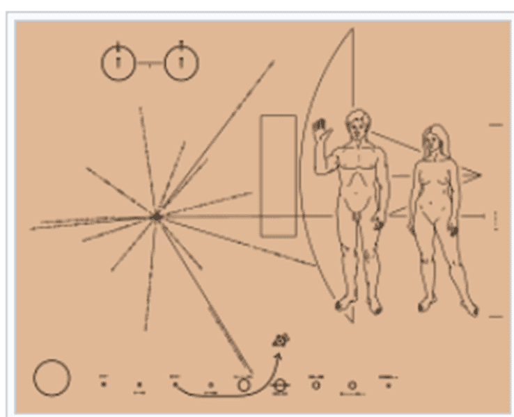 1698235441770.png