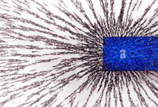 1699111716774.png