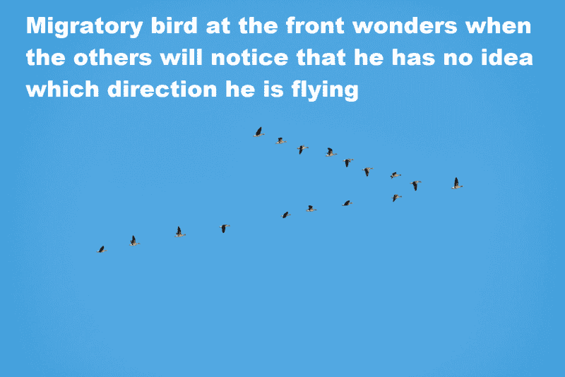 1699300887593.png