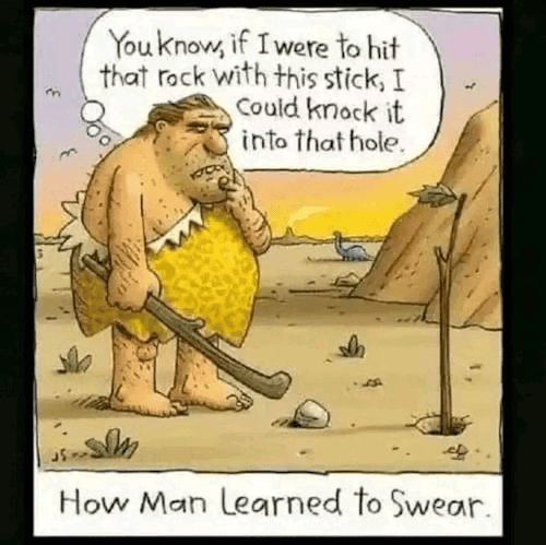 1699327774519.png