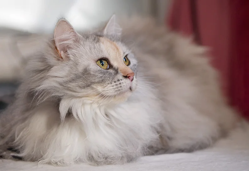 17 (Topaz AI) (x800).webp