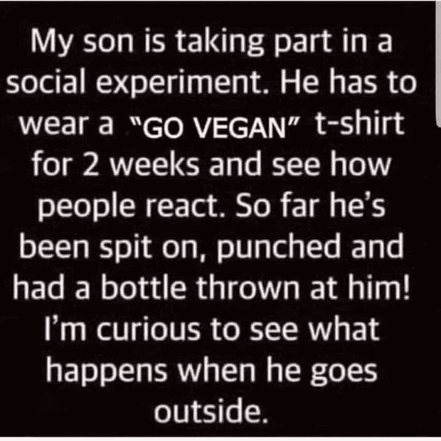 1701755897138.png