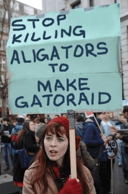 1703269766385.png