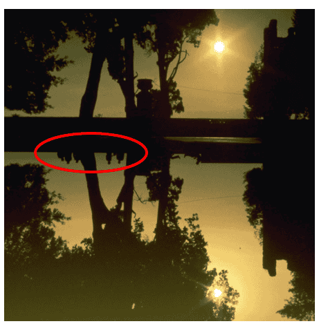 1706740811954.png