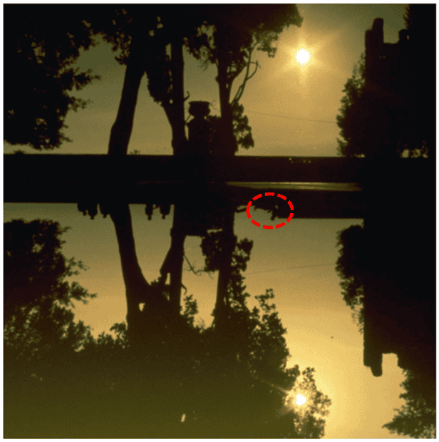 1706764128232.png