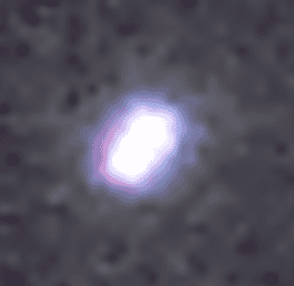 1707110008698.png