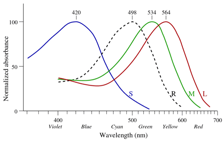 1708546806530.png