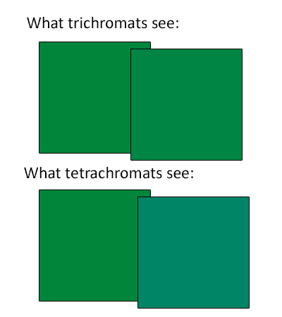 1708546989129.png