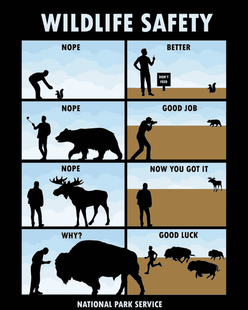 1716352354779.png
