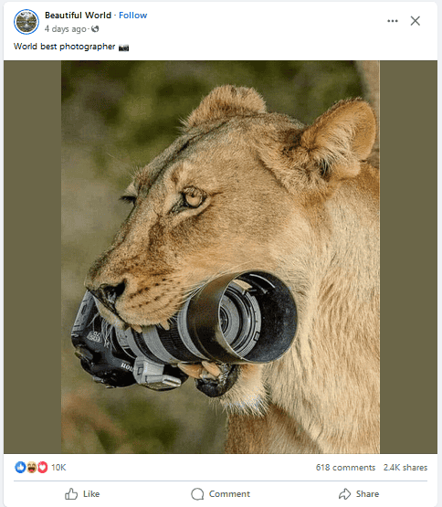 1716480718799.png