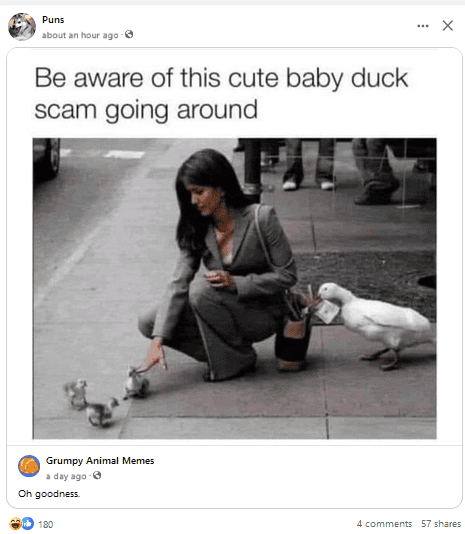 1717601293652.png